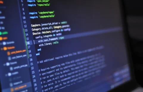 Web development